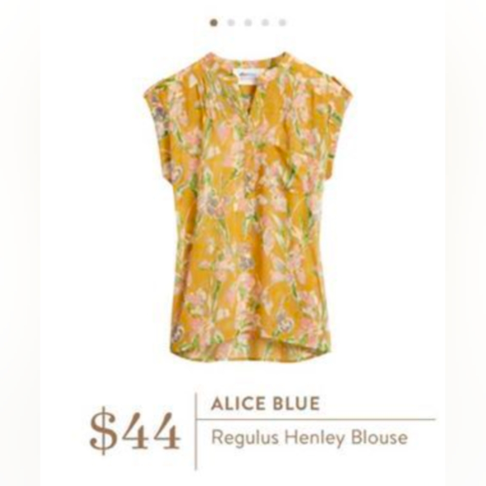 Alice blue regulus Henley blouse xs